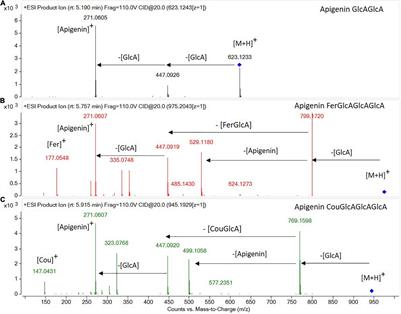 Flavonoid Accumulation Varies in Medicago truncatula in Response to Mercury Stress